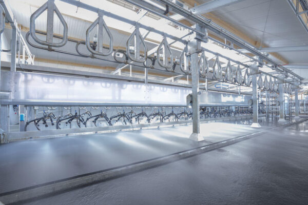 Dairy Care CC Champion™ Parallel Parlour - Welcome to your all in one ...
